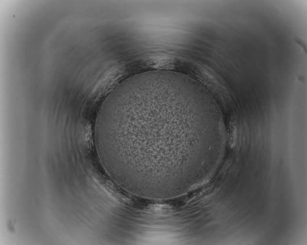 X0000103310748200809051544