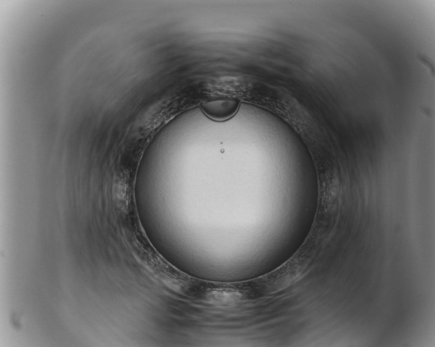 X0000103310749200809051544