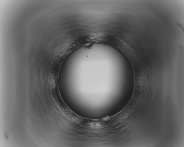 X0000103310751200809051544