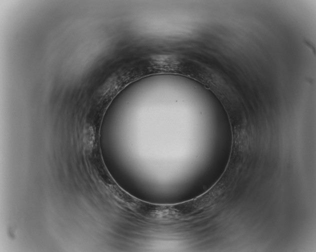 X0000103310752200809051544
