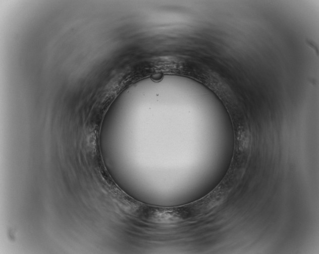 X0000103310753200809051544