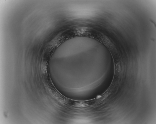 X0000103310754200809051544