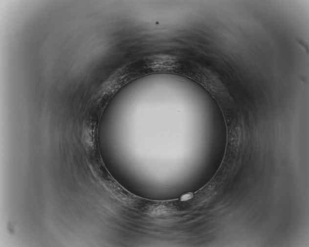 X0000103310755200809051544