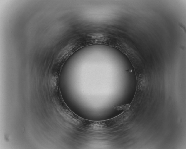 X0000103310756200809051544