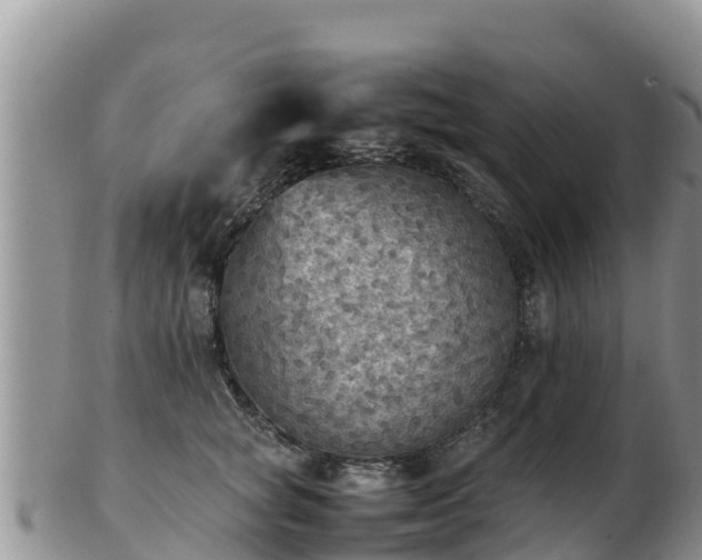 X0000103310757200809051544