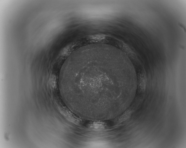 X0000103310758200809051544