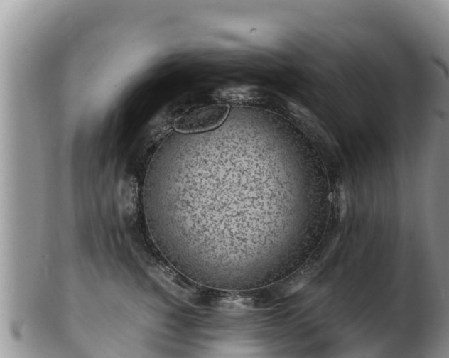 X0000103310760200809051544