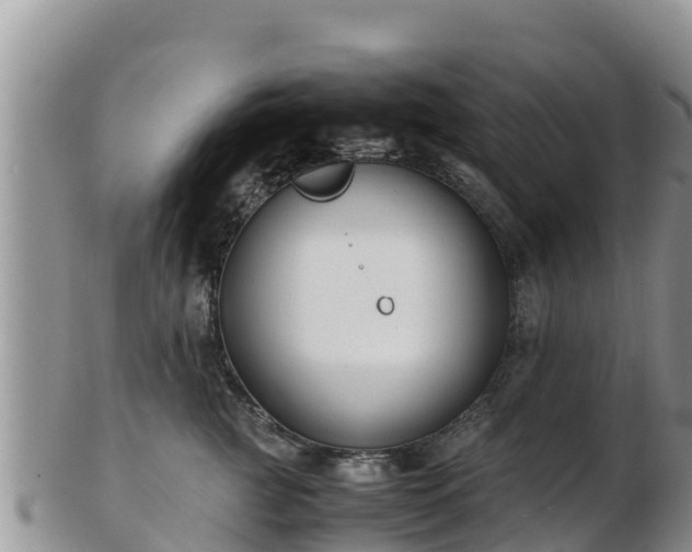 X0000103310761200809051544
