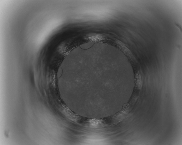 X0000103310762200809051544