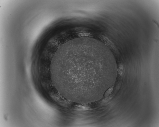X0000103310763200809051544