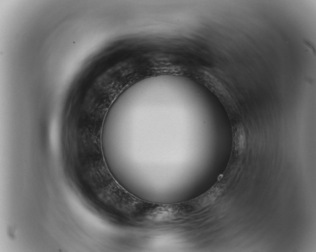 X0000103310764200809051544