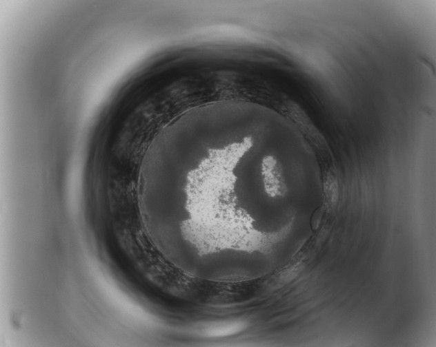 X0000103310765200809051544