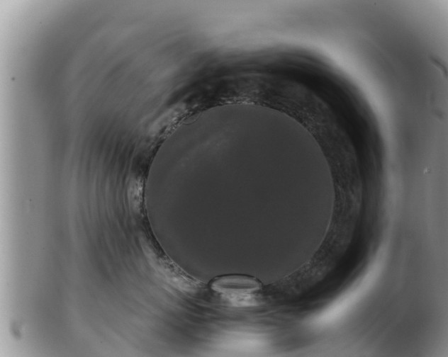 X0000103310767200809051544