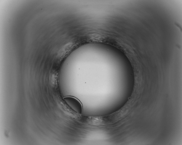 X0000103310768200809051544