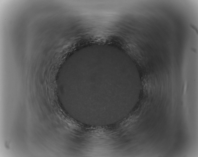 X0000103310769200809051544