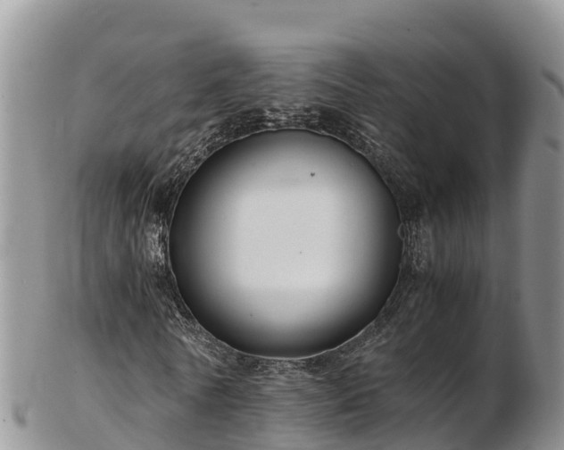 X0000103310770200809051544