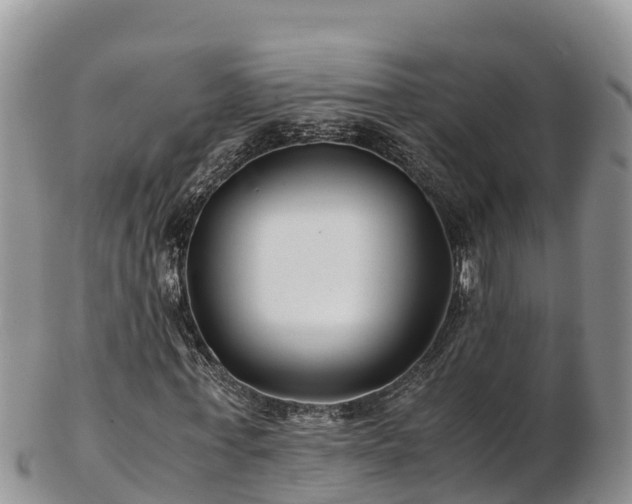 X0000103310771200809051544