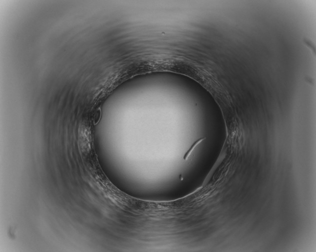 X0000103310772200809051544