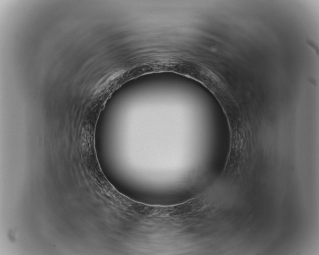 X0000103310773200809051544