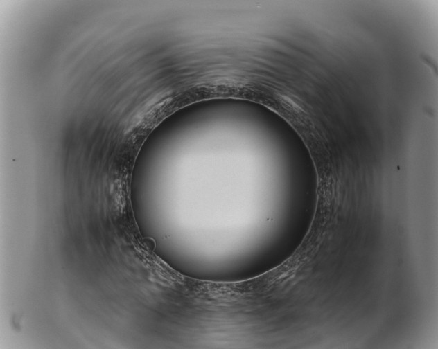 X0000103310774200809051544