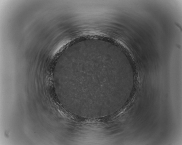 X0000103310775200809051544