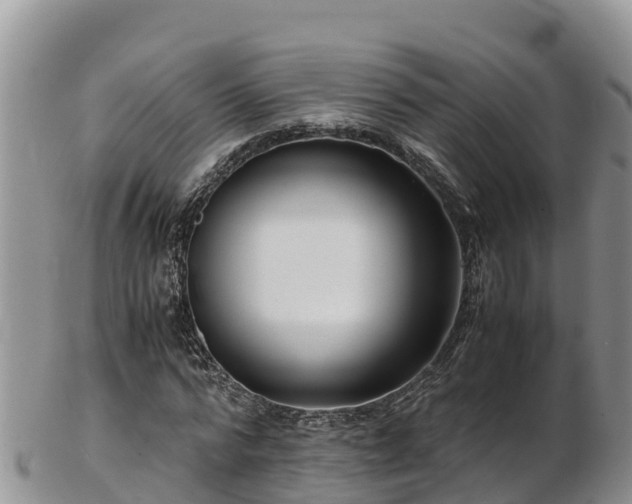 X0000103310776200809051544