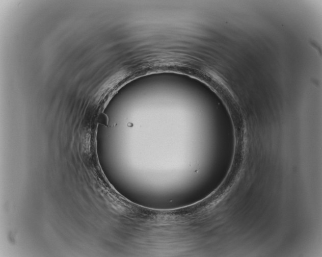 X0000103310777200809051544