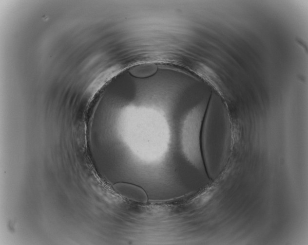 X0000103310781200809051543