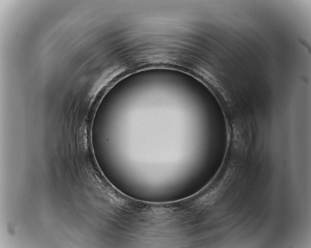X0000103310782200809051543
