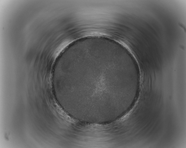 X0000103310783200809051543