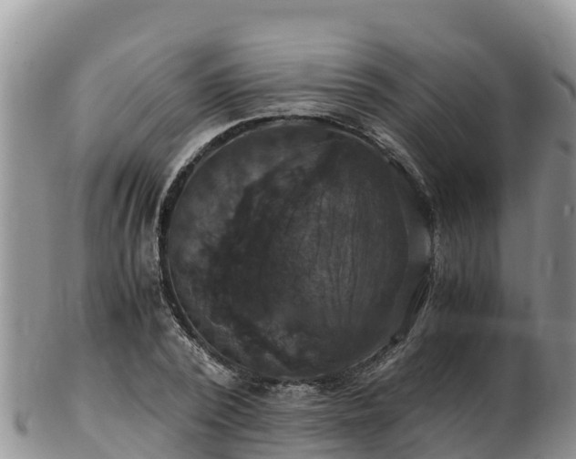 X0000103310784200809051543