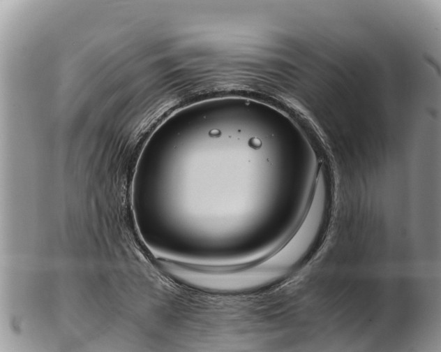 X0000103310785200809051543