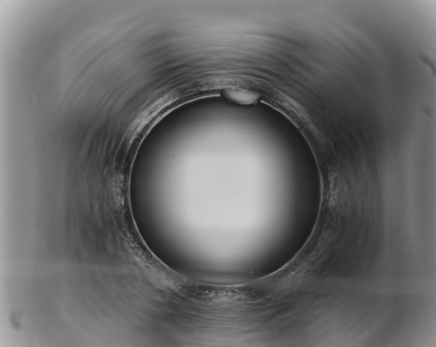 X0000103310786200809051543