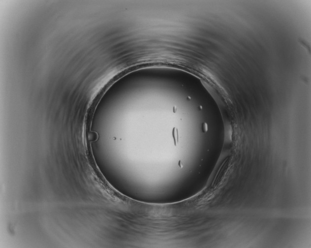 X0000103310788200809051543