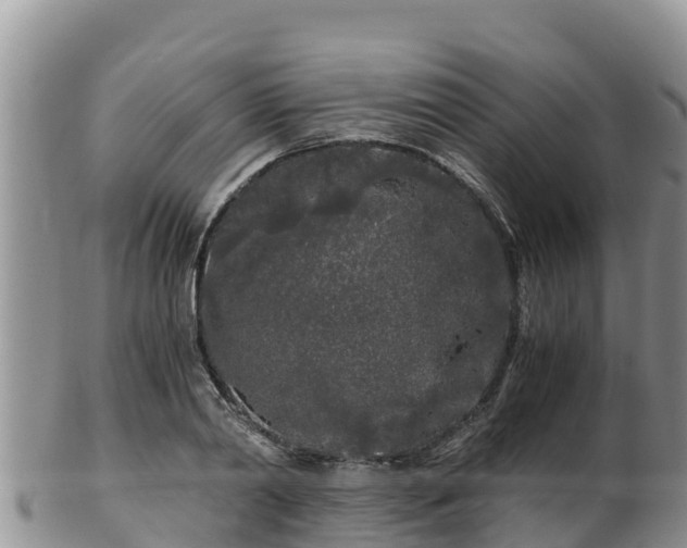 X0000103310790200809051543