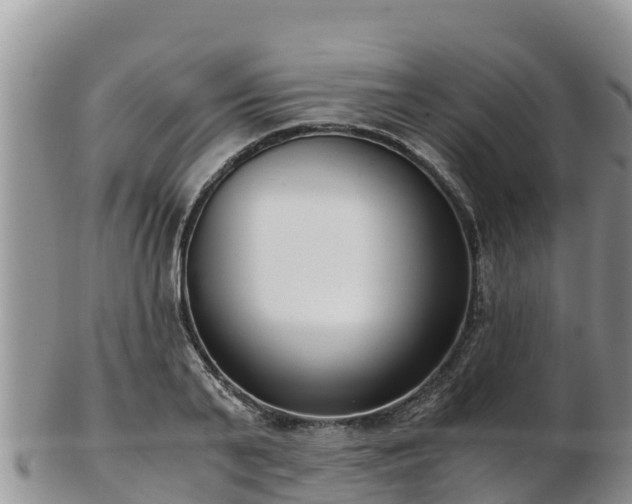 X0000103310791200809051543