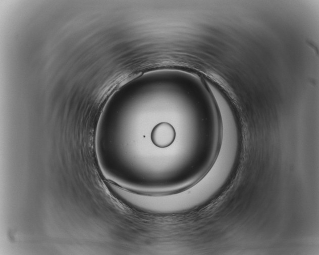 X0000103310793200809051543