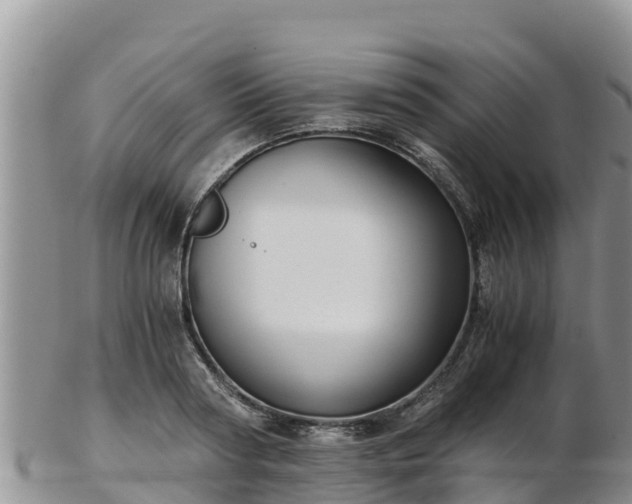 X0000103310794200809051543