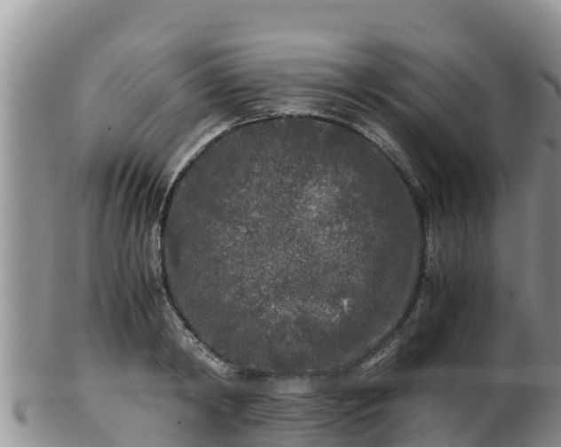 X0000103310798200809051543