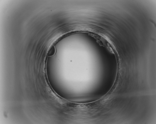 X0000103310799200809051543