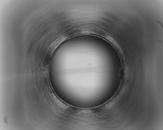 X0000103310801200809051543