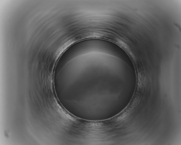 X0000103310802200809051543