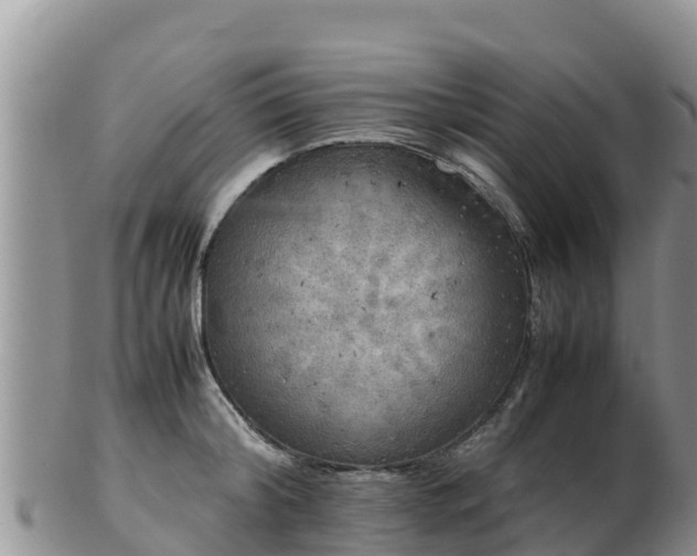 X0000103310804200809051543
