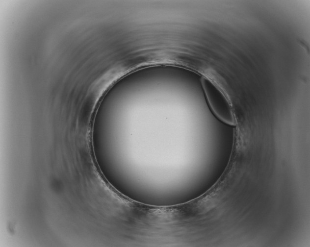 X0000103310805200809051543