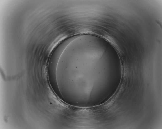 X0000103310806200809051543