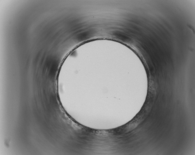 X0000103310807200809051543