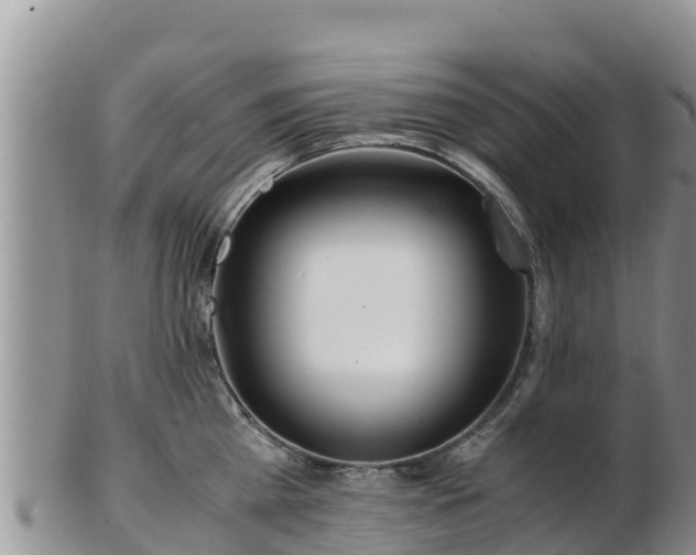 X0000103310809200809051543