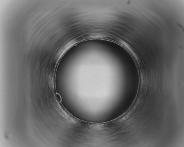 X0000103310810200809051543