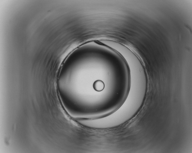 X0000103310813200809051543