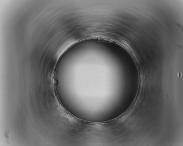 X0000103310814200809051543